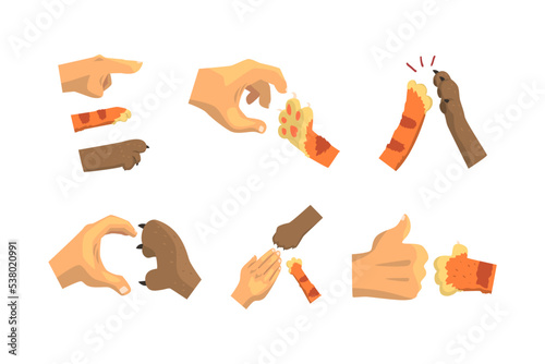Cat or Animal Paw and Human Hand Gesturing Giving High Five and Showing Thumb Up Vector Set