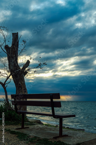 Evening view of empty bench before a branchless tree at waterfront with rough sea, against stormy weather with dense clouds.