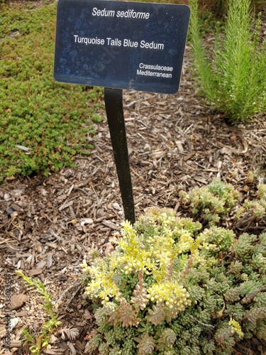 sign in the forest