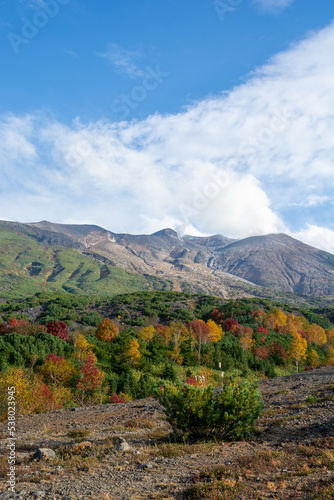 秋のカラフルな林と火山の山頂 