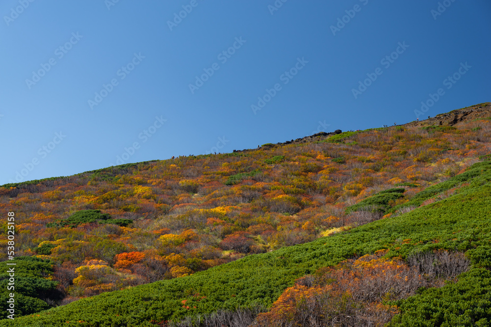 Fototapeta premium 紅葉する御嶽山