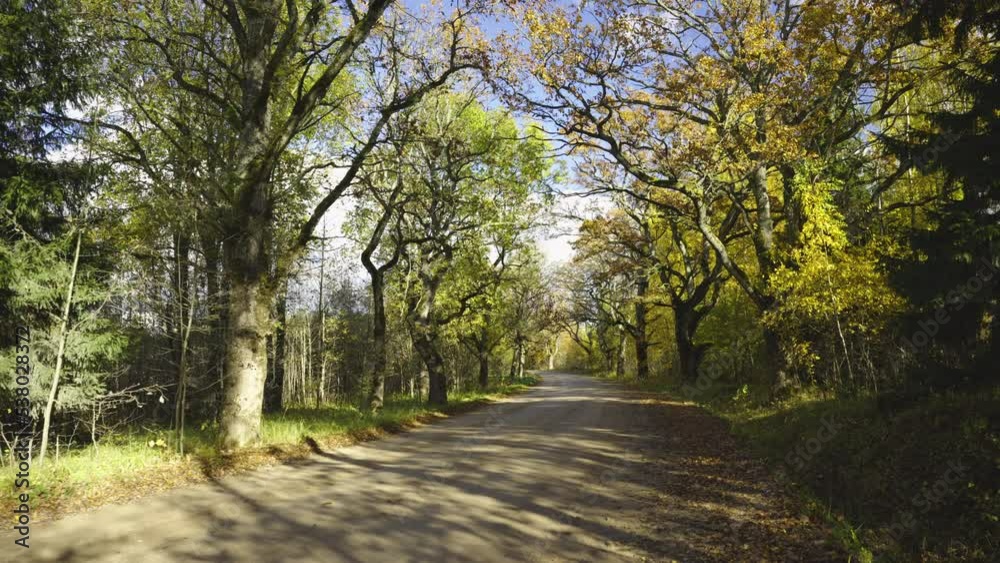 Dirt rural road goes around the corner. Beautiful trees with yellow leaves grow on the side of the road. Sunny warm day in October in the countryside. Latvia Dirt rural road goes around the corner. Beautiful trees with yellow leaves grow on the side of the road. Sunny warm day in October in the countryside. Latvia