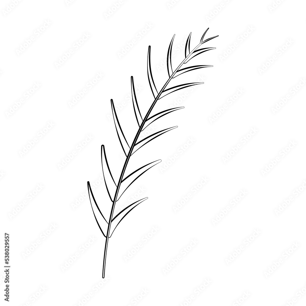 A twig of a plant and a flower with a thin line. Vector on a white background A twig of a plant and a flower with a thin line. Vector on a white background