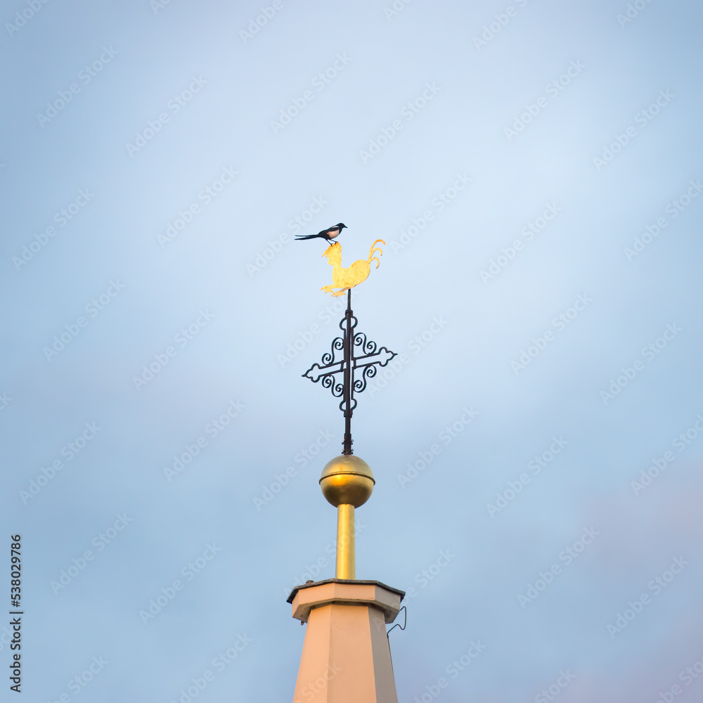  European magpie (Pica pica) on the cross of a church spire