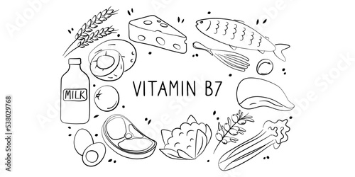 Vitamin B7 Biotin. Groups of healthy products containing vitamins. Set of fruits, vegetables, meats, fish and dairy