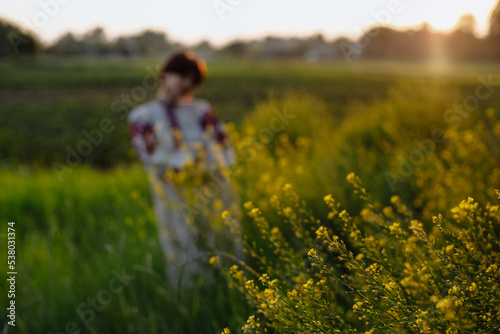 A beautiful girl in a national dress in a field among a green field and flowers © Andrii