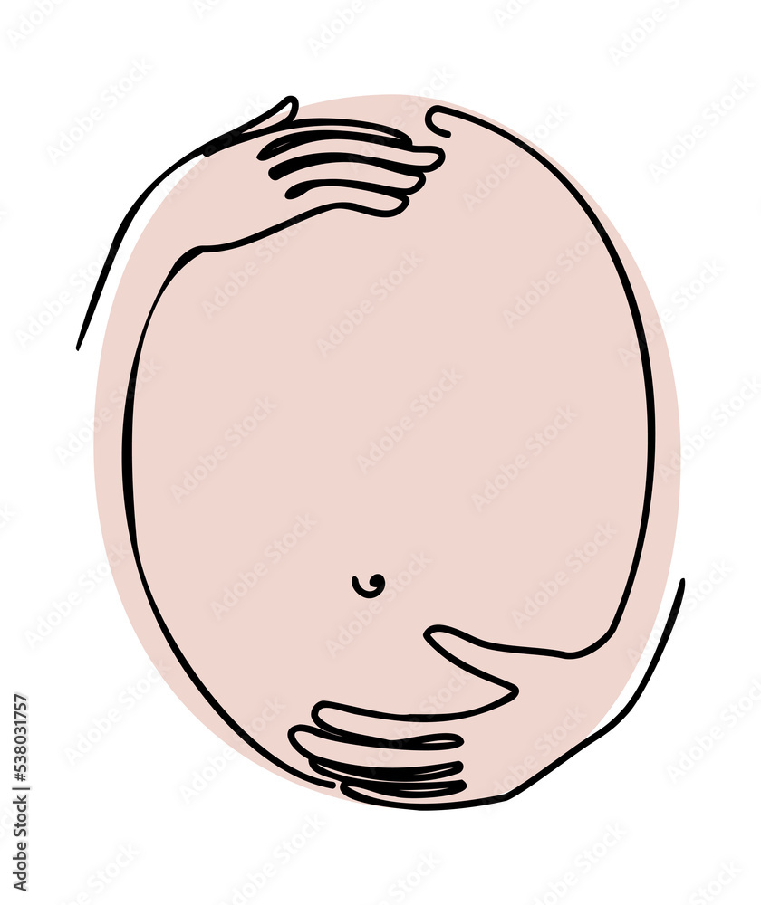Pregnant belly drawn in line-art style on a transparent background