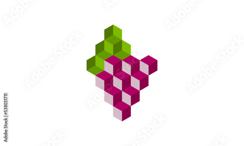grape logo design