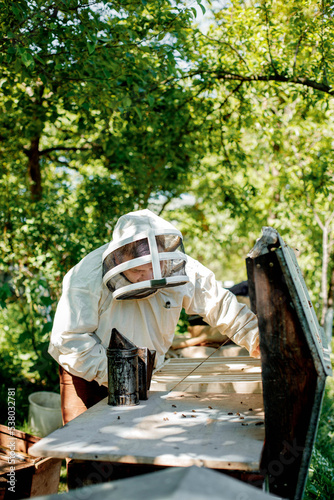 A careful beekeeper removes honeycombs with bees for inspection. Experienced beekeeper. The concept of beekeeping.