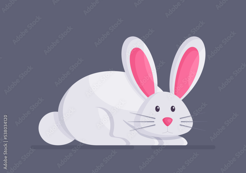 Fototapeta premium A white house rabbit isolated on a blue background. 