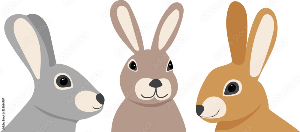rabbit, hare portrait on white background, isolated vector rabbit, hare portrait on white background, isolated vector