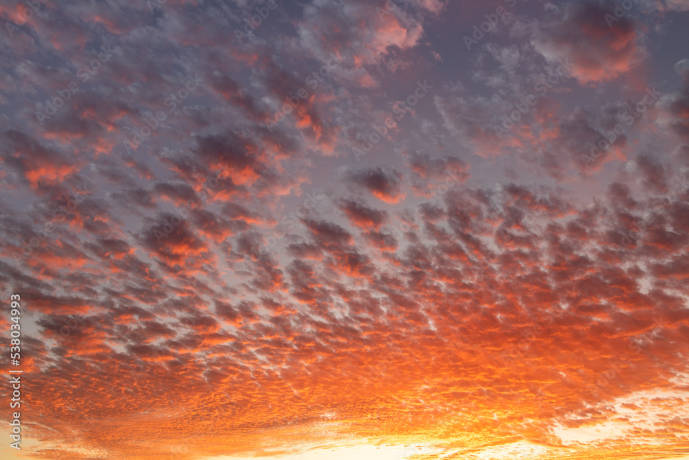 Fototapeta premium 夕焼け雲