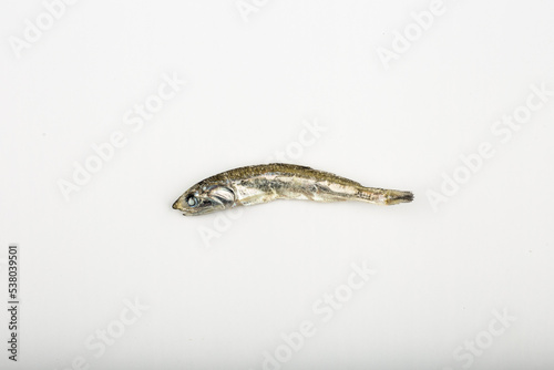 dried anchovy on white background
