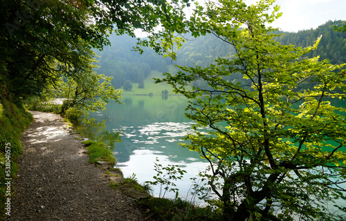 a scenic view of lake Alatsee and the green trees reflecting in its emerald-green water with the Bavarian Alps in the background on a fine August day in Bad Faulenbach (Bavaria in Germany) photo