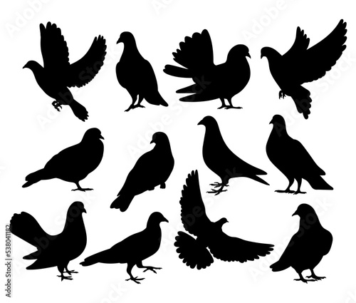 Pigeon dove bundle template for cutting and printing