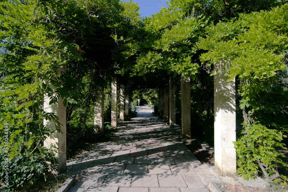 an alley with an arch of tree branches