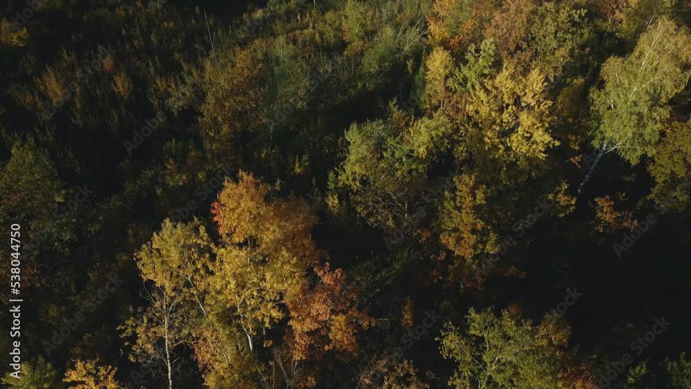 Autumn city park. Trees with colorful leaves. Autumn landscape. Aerial photography. Autumn city park. Trees with colorful leaves. Autumn landscape. Aerial photography.