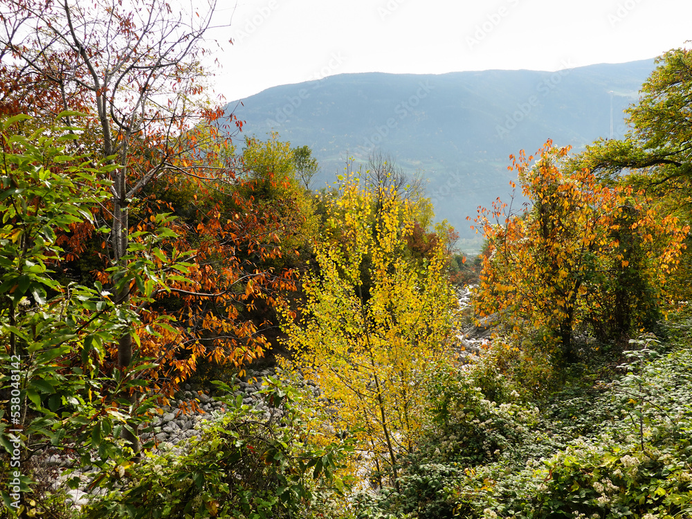 Herbstwanderung bei Naturns in Südtirol