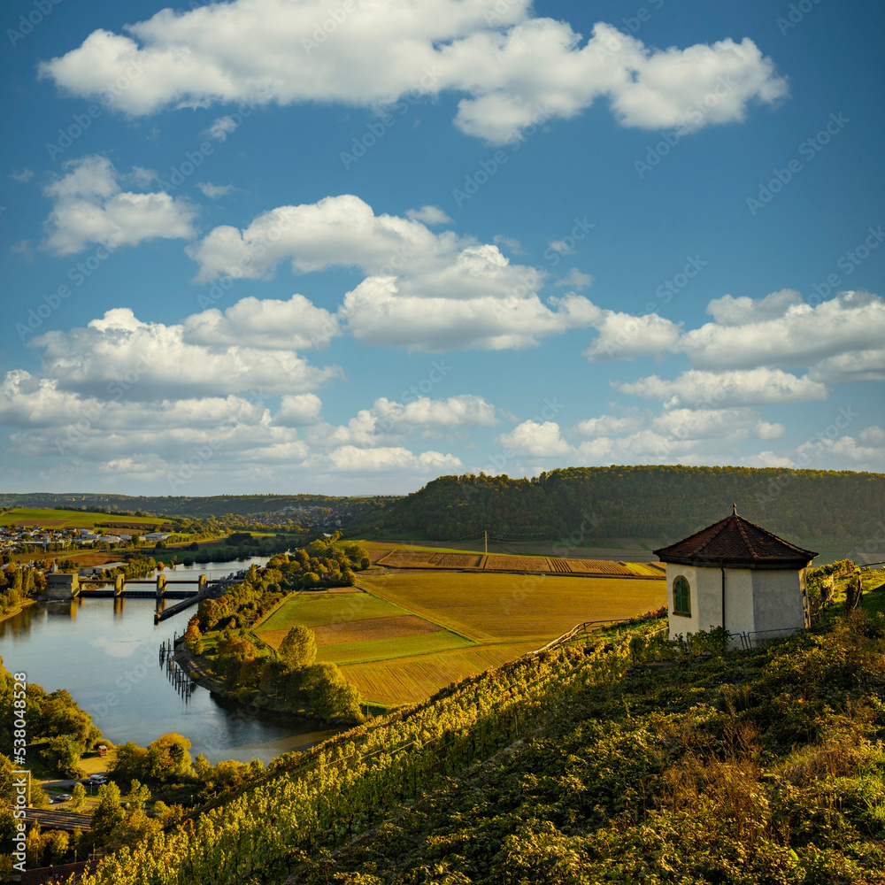 Naklejka premium Wine experience in the lower Neckar valley