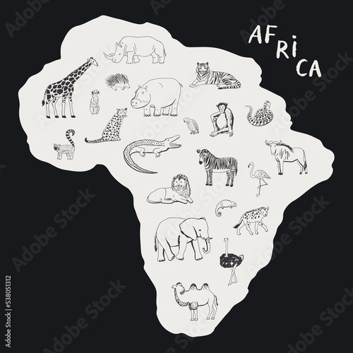 Photography African animals vector illustrations set.