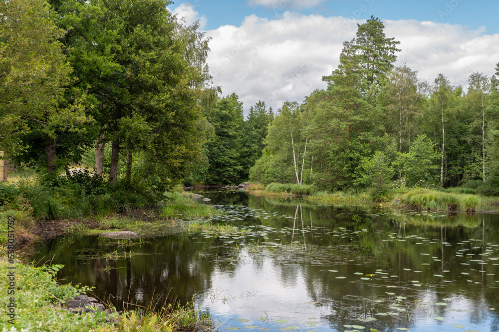 lake in the forest lake in the forest