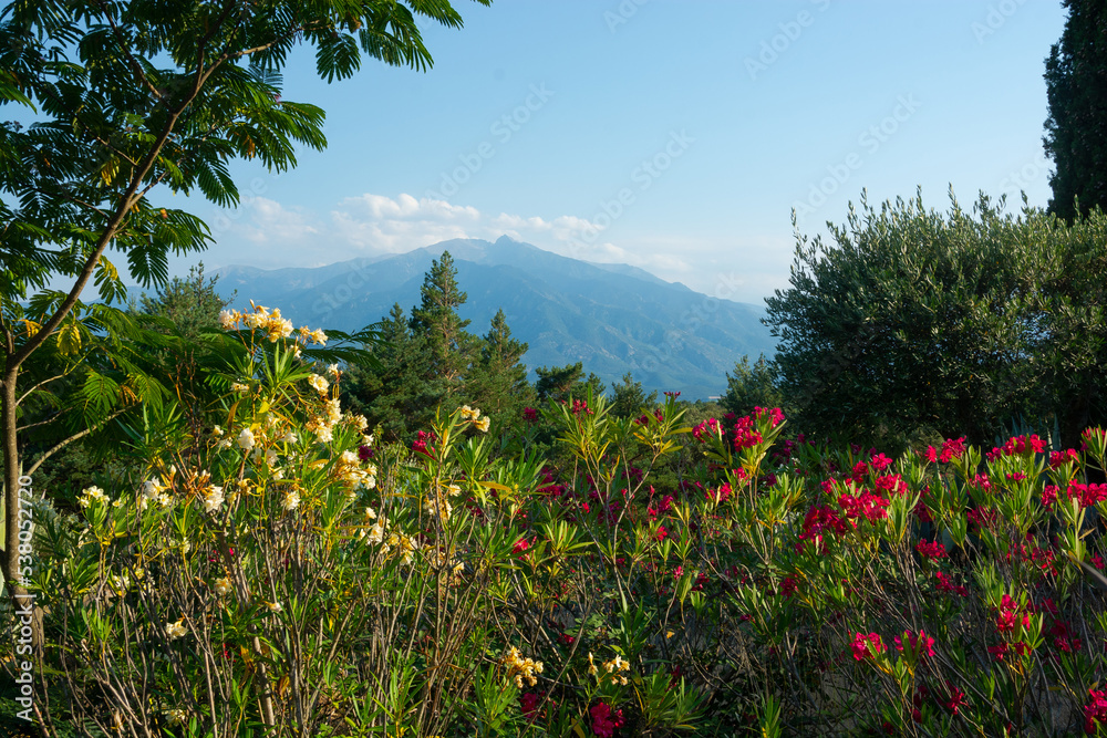 View of a flowers, mountains and beautiful landscape in the France