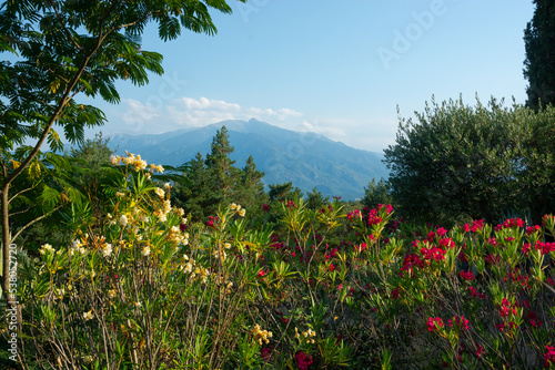 Obraz na płótnie View of a flowers, mountains and beautiful landscape in the France w salonie