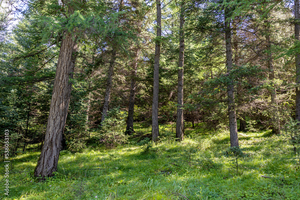 The natural scenery of Luya Mountain The natural scenery of Luya Mountain