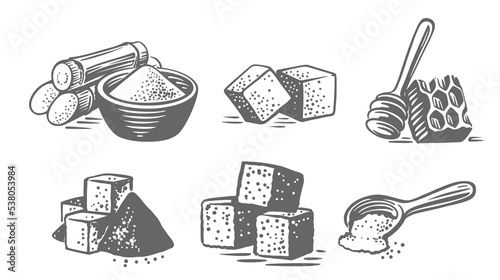 Hand drawn sugar crystals and cubes. Engraving vintage