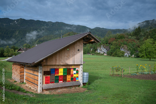 Fotografía Modern beekeeping culture: A Slovenian colorful Bee House,