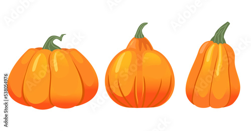 orange pumpkins set isolated on a white background. Autumn halloween pumpkin, vegetable graphic icon or print.