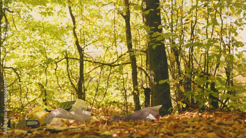 illegal garbage in the autumn forest illegal garbage in the autumn forest