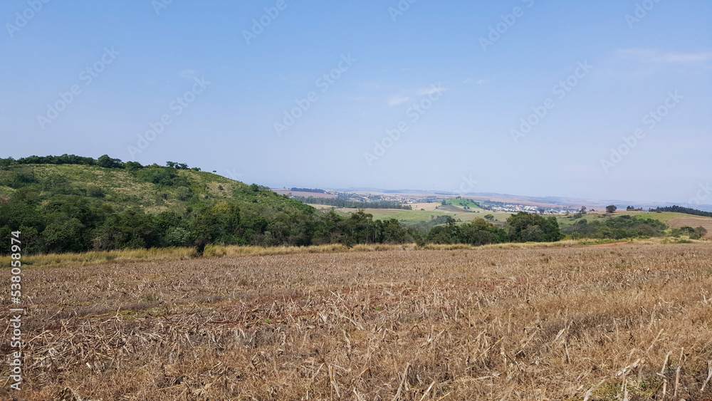 Composição horizontal de paisagem paranaense do brasil, com palha seca de milho colhido em primeiro plano, montanha, cidade ao fundo, e céu azul.