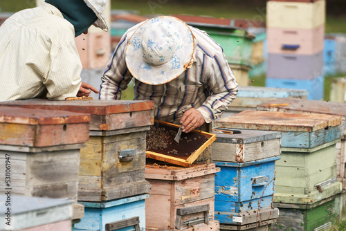 Revision of hives before wintering. Beekeepers (a married couple) assess the condition of bees and hives.