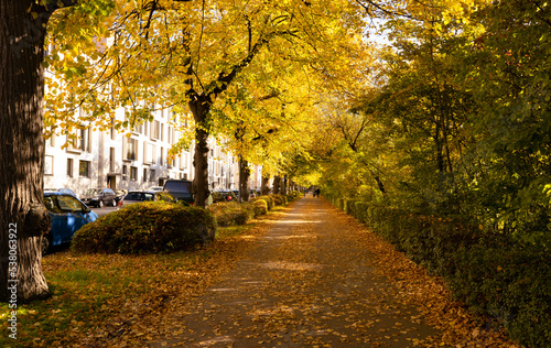 Fall in Germany