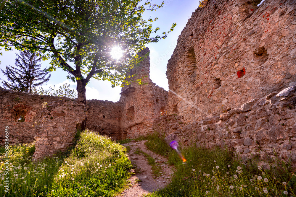 Ancient mediaeval wall ruins of Castle Burgruine Hohenfreyberg with sun shining against a tree with lens flare on a beautiful summer day in Eisenberg Bavaria Germany