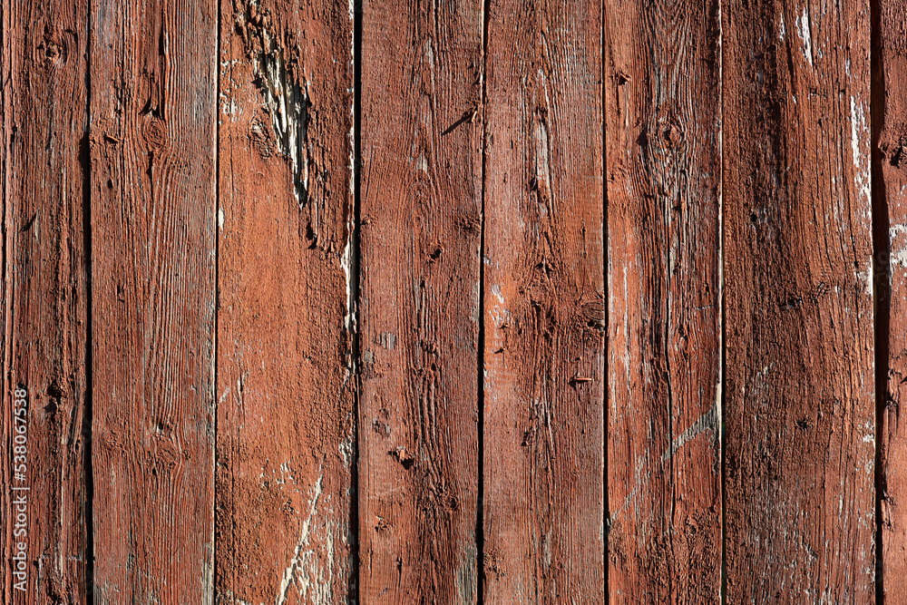Old wooden texture. Plank panel.