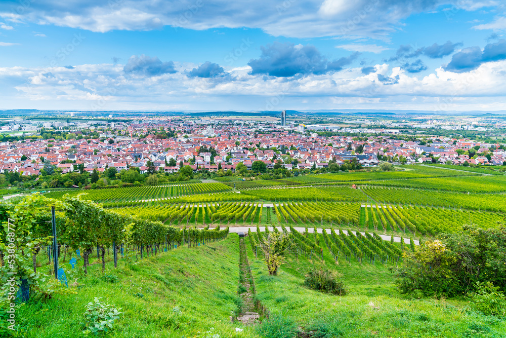 Germany, Fellbach city houses buildings tower skyscraper beautiful skyline panorama view above nature landscape vineyards in autumn season