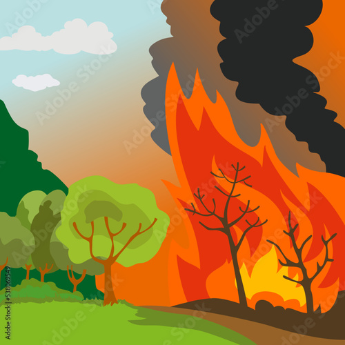 Wildfire, forest fire illustration. Natural calamity, disaster. Dry hot weather. Environment protection, Ecosystem in danger. Vector.  