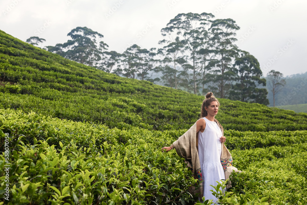 Woman in casual traditional white clothes at tea plantation background landscape in Sri Lanka. Pretty adult lady posing on tea plant. Eco friendly and healthy concept. Copy text space