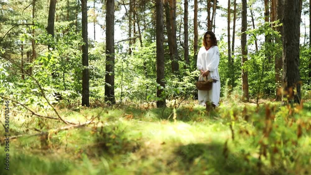 Ukrainian woman in embroidered dress in the forest gathering herbs in basket, Ukrainian witch, divination, natural medicine Ukrainian woman in embroidered dress in the forest gathering herbs in basket, Ukrainian witch, divination, natural medicine