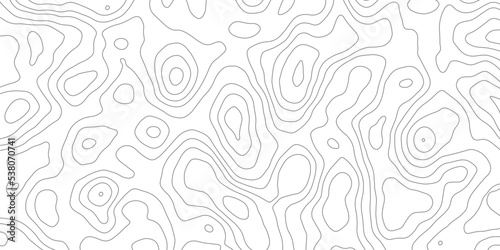 Background of the topographic map. Topographic map lines, contour background. Geographic abstract grid. vector illustration.