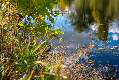 Autumn dry grass against the background of a blue river.