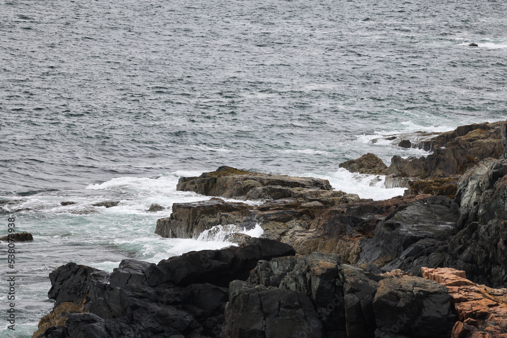 Landscape of the ocean and shore