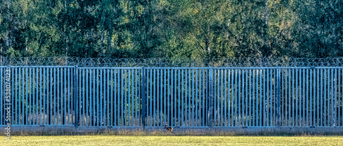 Poland-Belarus border wall with red deer in background - Bialowieza Forest, Poland