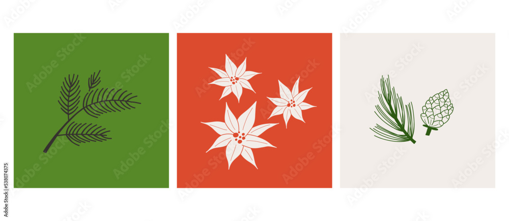 Winter plants cards. Pine cone, Poinsettia flower and xmas botany. Christmas decor or postcards. Line decorative elegant elements. Hand drawn botanical vector elegance decor isolated set Winter plants cards. Pine cone, Poinsettia flower and xmas botany. Christmas decor or postcards. Line decorative elegant elements. Hand drawn botanical vector elegance decor isolated set