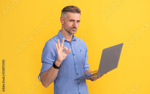 mature man working online on laptop showing ok gesture on yellow background, agile business