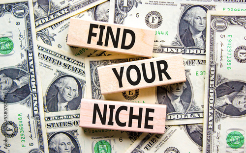 Find your niche symbol. Concept words Find your niche on wooden blocks. Dollar bills. Beautiful background from dollar bills. Business and find your niche concept. Copy space. photo