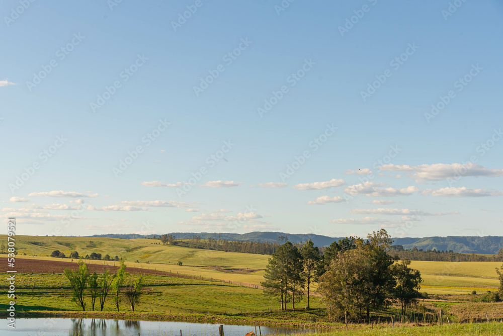 Rural landscape and extensive cattle ranching area