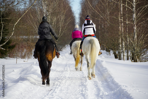 equestrian sport three horse women on horseback in winter forest with snow. High quality photo